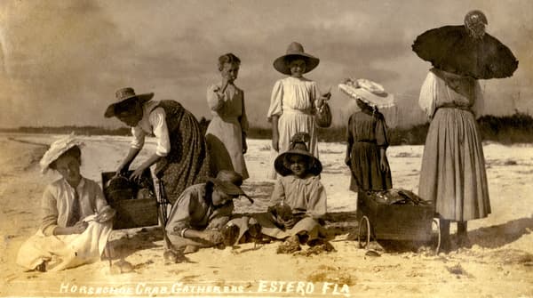 Estero Island shoreline, today's Fort Myers Beach, photographed in the early 1900s